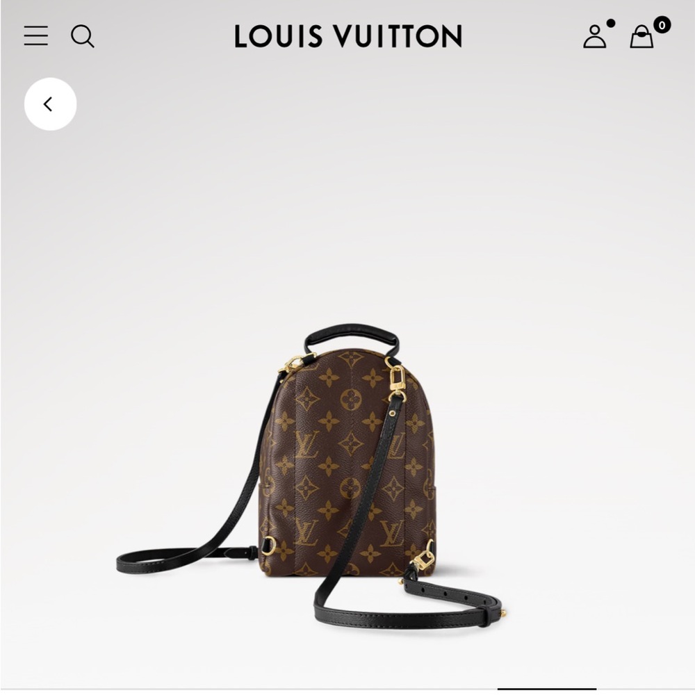 Louis Vuitton M44873 Palm Springs Mini - Picture 6 of 13